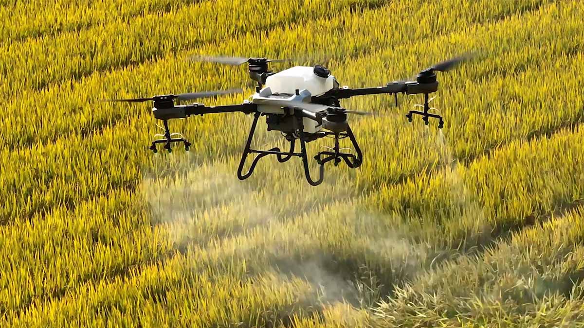 1680161163_MXax7ErDFE